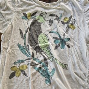 Magnolia Pearl T